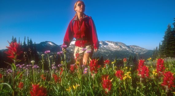 Woman in Fight Meadow, Wells Gray Park surrounded by bright red Indian Paintbrush with Battle Mountain in the background. 